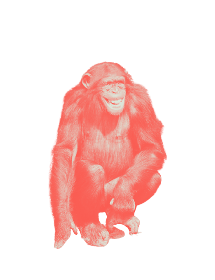 Pan